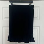 EXPRESS Skirt Photo 0