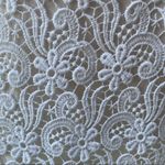 ZARA  Ivory Lace Scalloped Hem Lined Mini Skirt Photo 9