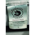 Authentic Pigment Garment Dyed Graphic T Photo 1