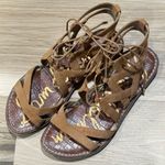 Sam Edelman  Gemma Gladiator Sandals Women’s 6.5 Photo 1