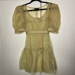 Danielle Bernstein NWT  Sheer Organza Puff Sleeve Mini Photo 1