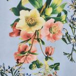 Belle Sky Bell Sky Light Blue Floral Ruffle Blouse Size Medium Photo 1