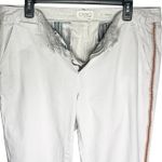 Anthropologie CHINO Women’s Relaxed Fit Tan Pink Tux Stripe Pant Photo 4