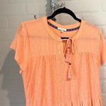 Kate & Sam dress NEW coral orange dress Swiss dot & eyelet lined small Photo 5