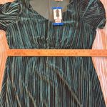 Briggs New York Briggs Ladies Pleated Velvet Dress NWT Photo 8