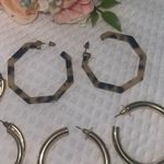 Earrings Leopard Print Resin Hoops & Gold Hoops Bundle Photo 2