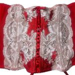 Victoria's Secret Victoria’s Secret Red Lace Corset Photo 1