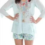 Johnny Was  Women’s Floral Embroidered V-Neck Blouse Top Sheer in Mint Green 1X Photo 0