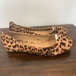 Lane Bryant Women's Leopard Print Ballerina Flats Shoes Brown Size 9 WIDE Photo 1