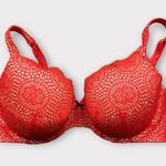 Cacique  Lace T-Shirt Bra Red Orange 44DD Photo 0