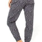 Celebrity Pink Junior Ladies High Rise Grey Leopard Print Stylish Jogger SZ S Photo 2