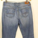 Lucky Brand neopolitan sweet n low denim jeans women Size 10 Photo 5