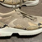 ALLSAINTS  Skye Snake Suede Sneakers 38 NWOB Photo 0