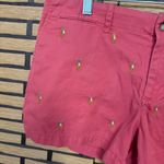 Ralph Lauren Polo‎  Pink Embroidered Shorts Size 6 Photo 3