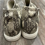 Steven By Steve Madden Steven Steve Madden Snakeskin Sneakers 8 Photo 4
