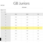 Gianni Bini GB Deep V Appliqué Gown Photo 9