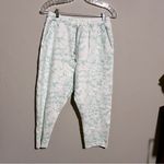 Frank & Eileen Tee Lab Limited Edition Core Crop Floral Ice Blue Sweatpants Photo 2