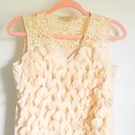 Anthropologie  Champagne & Strawberry cream Petal Pop appliqué mini shift dress Photo 5