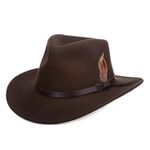 Dorfman Pacific Made in USA Wool Fedora Leather Strap Feather Accent Brown/Olive Brown Photo 1
