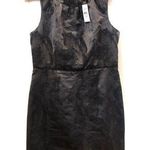 Loft NWT Dress Photo 0