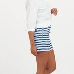 Spanx Sunshine Shorts, 6" Blue Painted Stripe XLarge NWT Photo 6