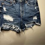 American Eagle AEO 90s Boyfriend High Rise Denim Distressed Jean Shorts Photo 4