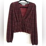 ZARA Accordion Patterned Crop Blouse Medium Photo 2