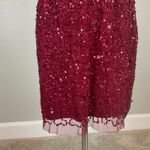 Adrianna Papell Sequined Sleeveless Mini Sheath Party Cocktail Dress Red Size 6 Photo 6