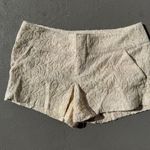 Boom boom Lace Short Size 4 Photo 0