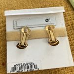 kim rogers  Earrings for Sensitive Ears Photo 2