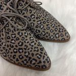 Lucky Brand Erreka Lace-Up Leather Oxford Titanium Romo Leopard Size 7.5 BIN 16 Photo 6