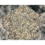 Analogy Paisley Stretch Jacket Women's‎ Size Large Button Front Multicolor Boho Photo 1