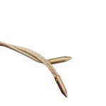 Lulus  Aimee Champagne Metallic Lace-Up Heels
Gold Glam Black Tie NYE shoes Photo 13