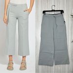 Lysse NEW Florist Wide Leg Crop Pant in Morning Dew size S Small 2991 NWT Photo 0