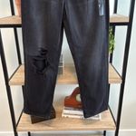 American Eagle NWT  Outfitters Highest Rise 90's Boyfriend Distressed Jeans 28/ 6 Photo 3