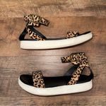 MIA Leopard Print Ankle Strap Women's Sandals Photo 1