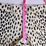 J.Crew • Leopard Print Stretch Shorts•sz 8 Photo 3