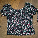 Sadie and Sage  Top Photo 0