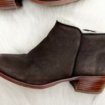 Sam Edelman Brown Leather Ankle Booties Photo 0