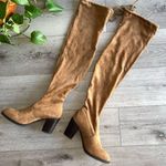 Shop The Mint Over the Knee Boots Block heel 8 brown Photo 2