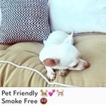 Lucky Brand NWOT π΄ Multi Paisley Bikini Bottoms Photo 7