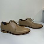 Everlane Italian Leather Modern Oxford Shoes Beige Size 7 VGUC Photo 4