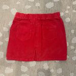 Wild Honey Skirt Photo 1