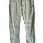 A.P.C. Gray Green Straight Leg Jeans Sz 29 Button Fly Cotton Designer Seafoam Photo 0