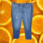 J. Crew Semi Distressed with Navy Stripe Blue Jeans Size 32 Photo 1