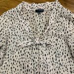 The Limited  Women's Size Small Tie Neck Blouse Semi-Sheer Pink Black Dot Print‎ Photo 1