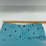 Polo Ralph Lauren Sport Shorts 10 Photo 3