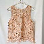 Caution to the Wind  Peach Lace Tank Top Photo 2