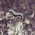 PINK - Victoria's Secret Women’s PINK By‎ Victorias Secret Cropped Velvet Tank Top Size Medium Purple Photo 1