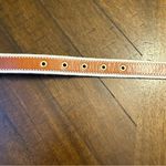 Lot Of 3 Loft Belts Women's Size S Brown Black White Gold Buckle Genuine Leather Photo 4